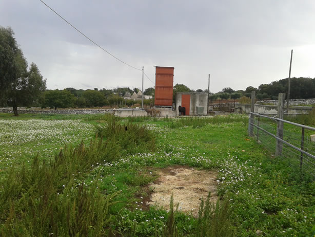 gestione/img/uploadProject/49/04_subirrigazione.jpg.