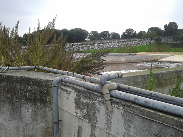 gestione/img/uploadProject/49/05_subirrigazione.jpg.