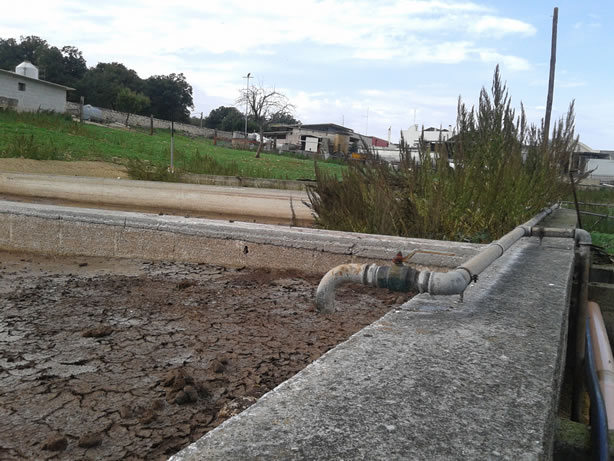 gestione/img/uploadProject/49/06_subirrigazione.jpg.