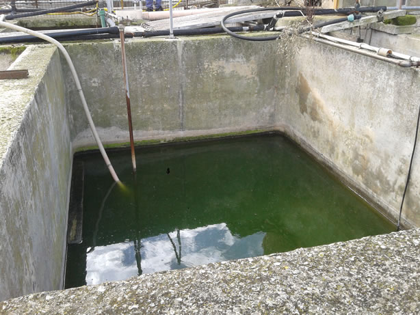 gestione/img/uploadProject/49/08_subirrigazione.jpg.