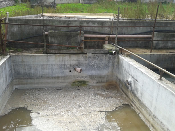 gestione/img/uploadProject/49/12_subirrigazione.jpg.