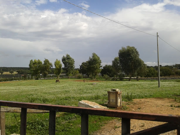 gestione/img/uploadProject/49/14_subirrigazione.jpg.