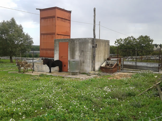 gestione/img/uploadProject/49/15_subirrigazione.jpg.