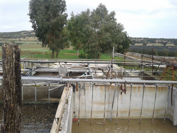 gestione/img/uploadProject/49/17_subirrigazione.jpg.