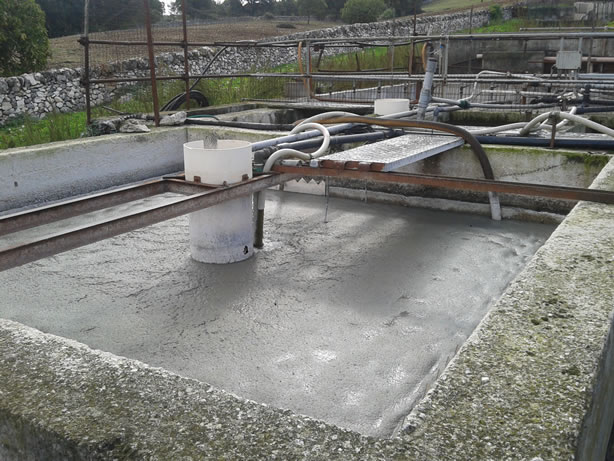 gestione/img/uploadProject/49/19_subirrigazione.jpg.