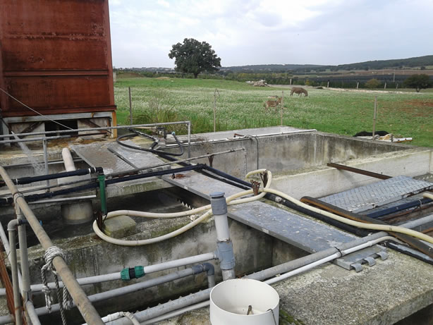 gestione/img/uploadProject/49/20_subirrigazione.jpg.