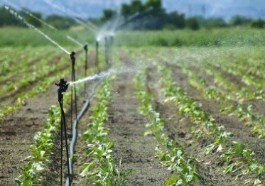 Schema logico del ciclo di riuso delle acque reflue.